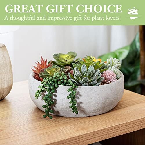 MyGift 8-Inch Round Modern Succulent Arrangement - Limited Offer