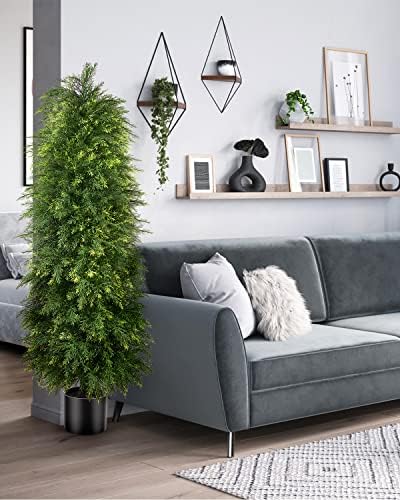 Premium Cedar Topiary Trees 5ft