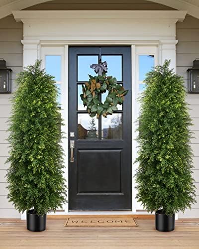 Premium Cedar Topiary Trees 5ft