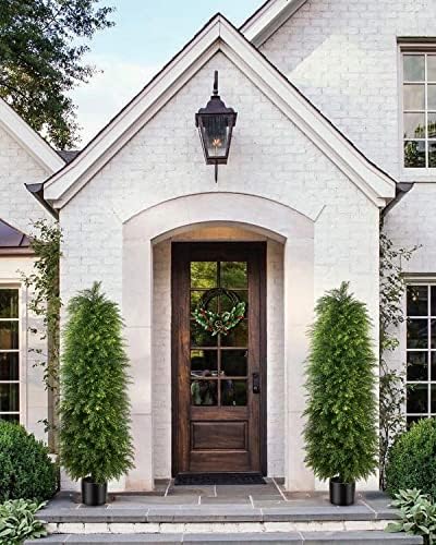 Premium Cedar Topiary Trees 5ft