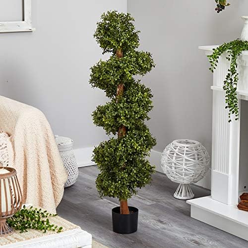 Spiral Boxwood Topiary Living Accent for Your Space