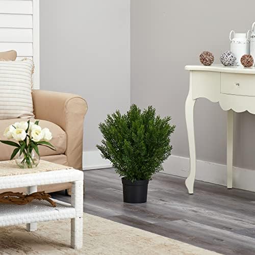 Keep 2ft Cedar Bush Natural