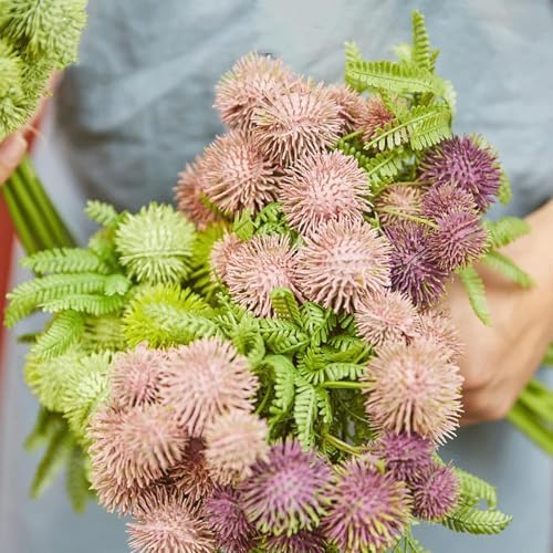 Bloom for Your Space