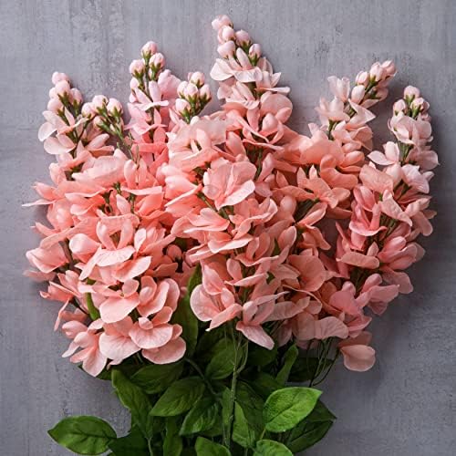 Vibrant Coral Wisteria Bush