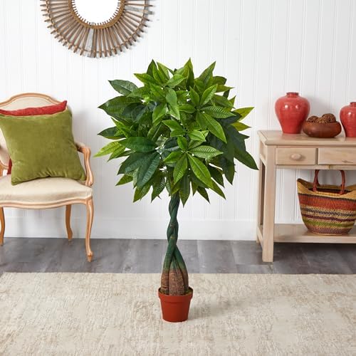 Money Plant with Real Touch