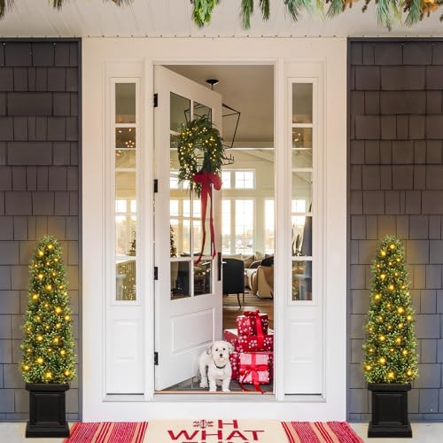 Stylish 35ft Boxwood Topiary Set for Outdoors Indoors