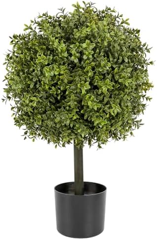 V Chapes Boxwood Topiary 236 Height