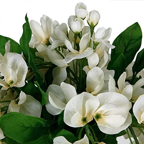 Floral Serenity - Cream Wisteria Bush by Ashland