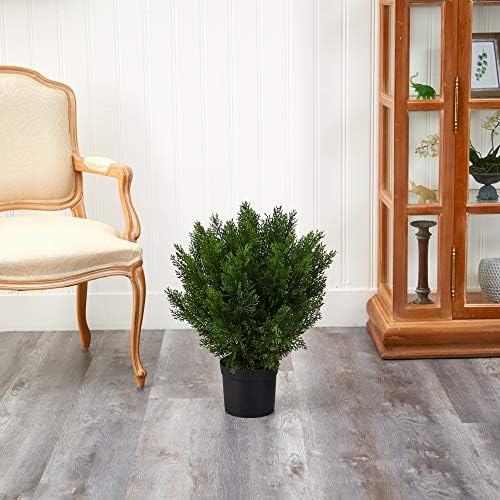Keep 2ft Cedar Bush Natural