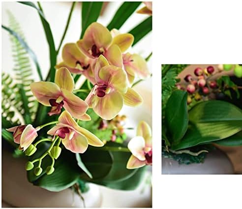 Sm lifelike Phalaenopsis Potted Plant for Home Decor