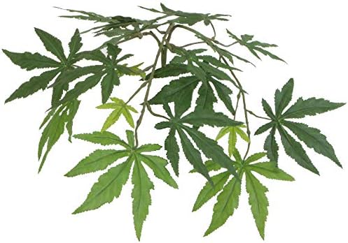 Vickerman Japanese Maple Bush Set in Rattan Green