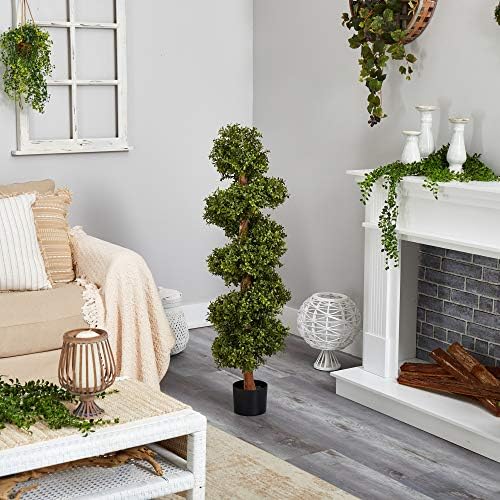 Spiral Boxwood Topiary Living Accent for Your Space