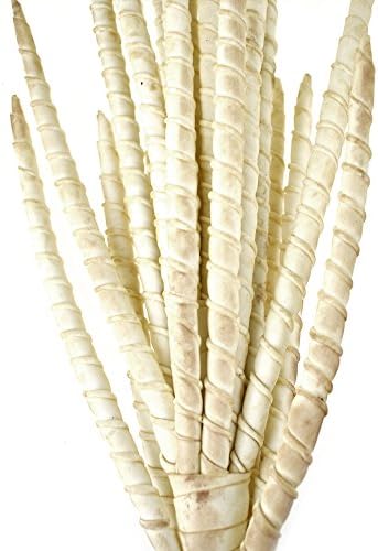 Stunning Bamboo Bush