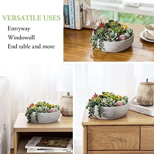 MyGift 8-Inch Round Modern Succulent Arrangement - Limited Offer