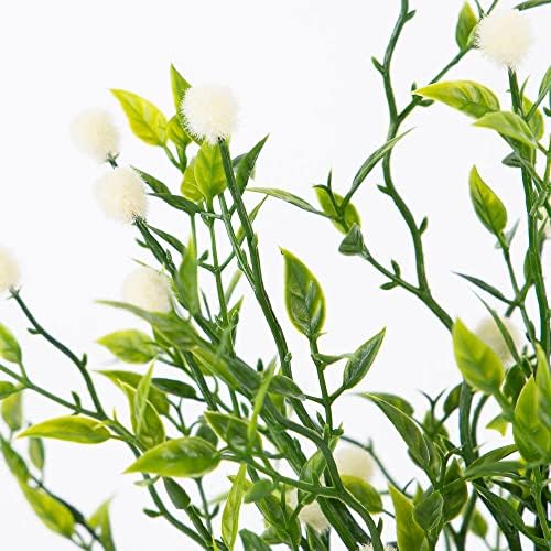 C cream tea leaf bush 12-12 H