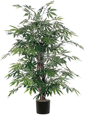 Vickerman Japanese Maple Bush Green 4