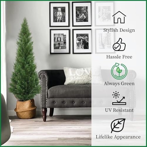 Arc Cedar Topiary Outdoor