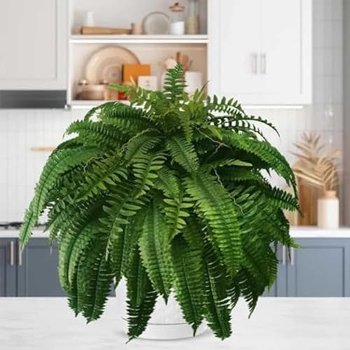Maddowk Artificial Ferns UV Resistant Lifelike Artificial Boston Fern