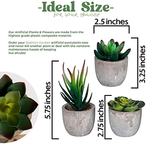 5 Mini Fake Succulents Set for Bedroom Bathroom Decor