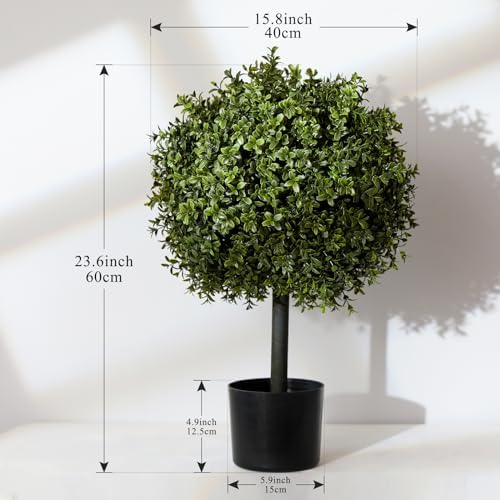 V Chapes Boxwood Topiary 236 Height