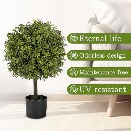 V Chapes Boxwood Topiary 236 Height