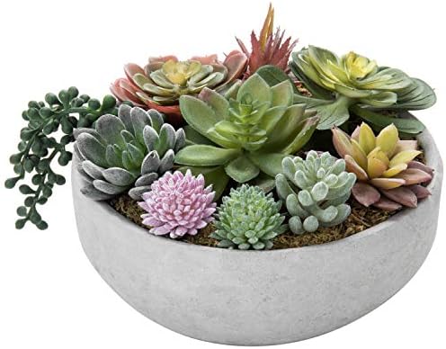 MyGift 8-Inch Round Modern Succulent Arrangement - Limited Offer