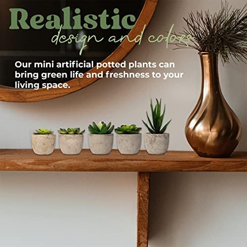 5 Mini Fake Succulents Set for Bedroom Bathroom Decor