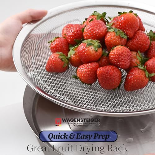Stainless Steel Mesh Strainer Set with Drip Pan