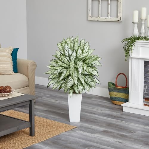 Silver Queen Artificial Plant