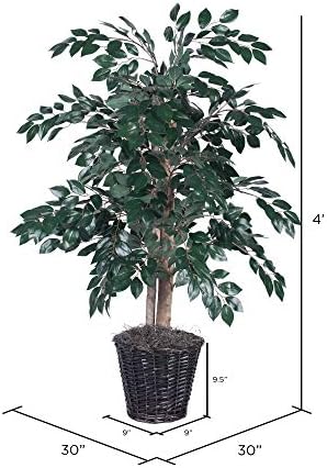 Vickerman TBU0740 Green Dark 4 Everyday Sakaki Bush