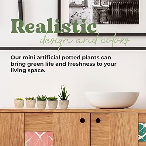 5 Mini Fake Succulents Set for Bedroom Bathroom Decor