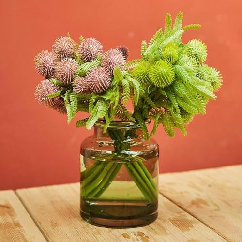 Bloom for Your Space