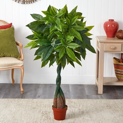 Money Plant with Real Touch