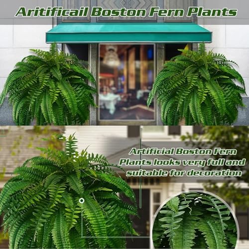 Ekomfo Luxury Outdoor Boston Ferns - UV Resistant 4-Piece Planter Set