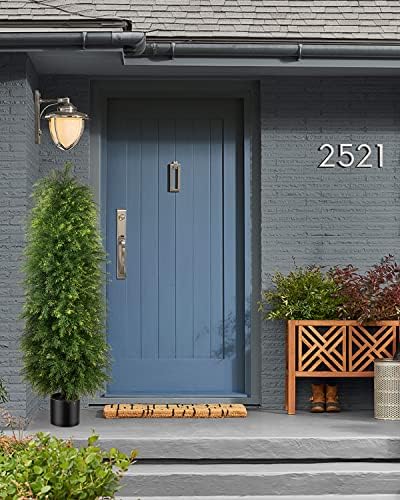 Premium Cedar Topiary Trees 5ft