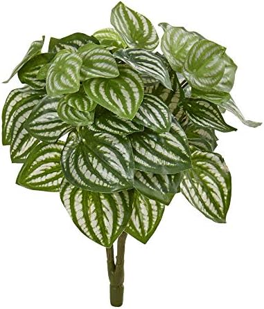 Handcrafted Watermelon Pepperomia Artificial Plants 6 Pack