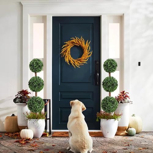 Discover Realistic Outdoor Topiary