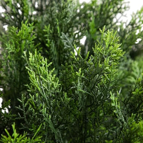 Nearly Natural Cedar Bush 4-Foot tall Black nursery pot