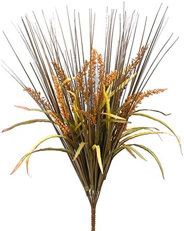 Vibrant Life - 24 Rattail Grass Bush x12 Mustard Pack of 12
