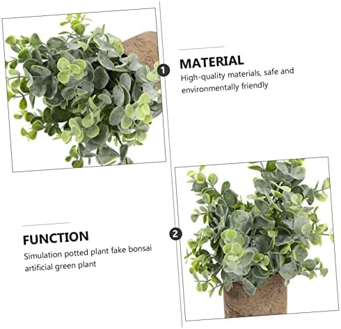 Eucalyptus bounced by Unomor