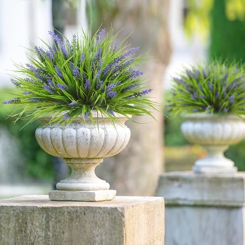 Sggvecsy Hanging Outdoor Plant