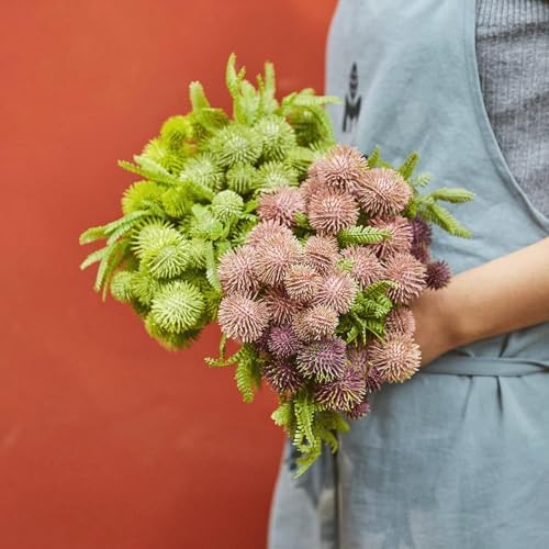 Bloom for Your Space