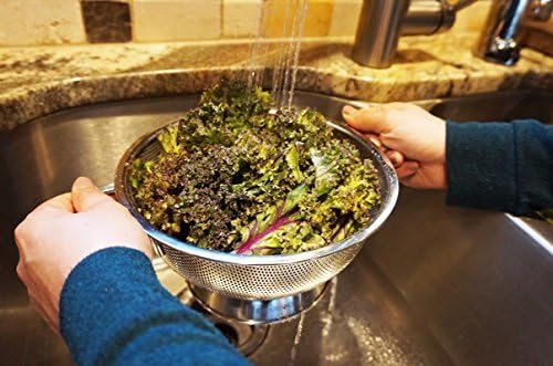 RSilver Endurance Kitchen Collection Colander - 3 Quart 188 Stainless Steel Pierced Disk