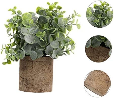 Eucalyptus bounced by Unomor
