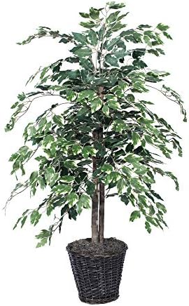 Magnificent Handcrafted Artificial Variegated Ficus Bush with Real Wood Trunks from the USA
