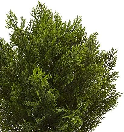 Keep 2ft Cedar Bush Natural