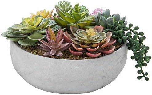 MyGift 8-Inch Round Modern Succulent Arrangement - Limited Offer