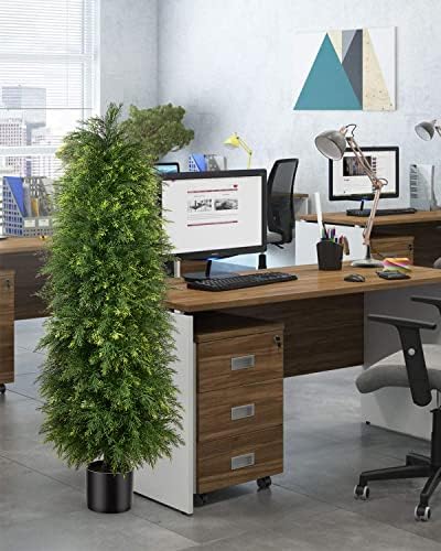 Premium Cedar Topiary Trees 5ft