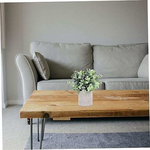 Eucalyptus bounced by Unomor