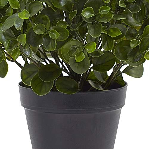 Nearly Natural 23-inch Peperomia UV-Resistant Plant